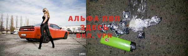 таблы Новодвинск
