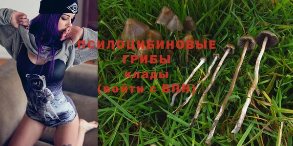 марки nbome Новокубанск