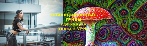 альфа пвп Нея