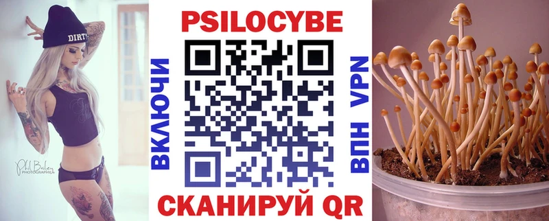 Галлюциногенные грибы ЛСД  Рубцовск 