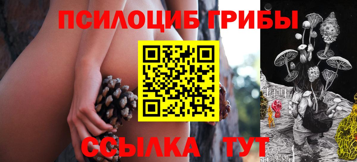 Галлюциногенные грибы мицелий  Галлюциногенные грибы Cubensis  Рубцовск  Вход с VPN 