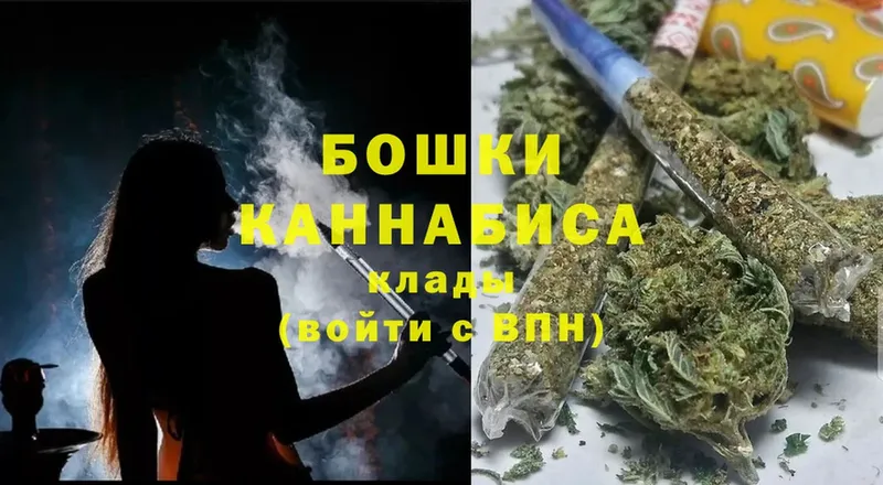 Конопля SATIVA & INDICA  мориарти клад  Рубцовск 